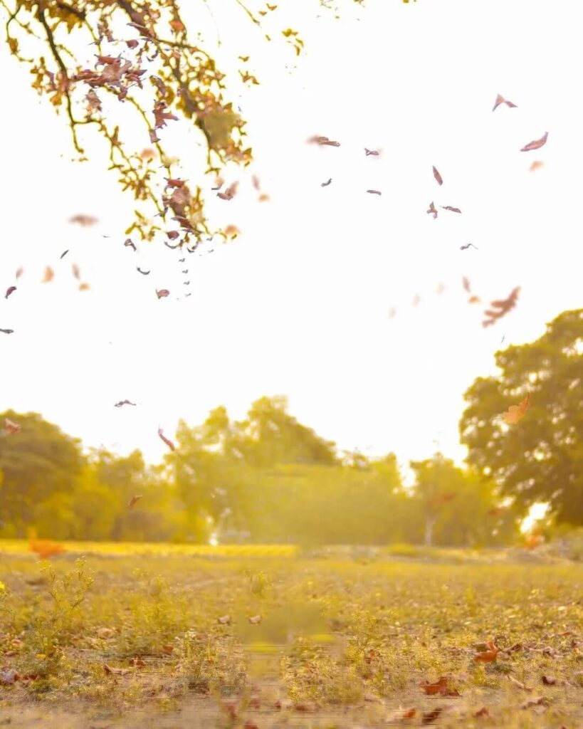 cb background full hd 1080p 2023 1 cb background full hd 1080p 2023