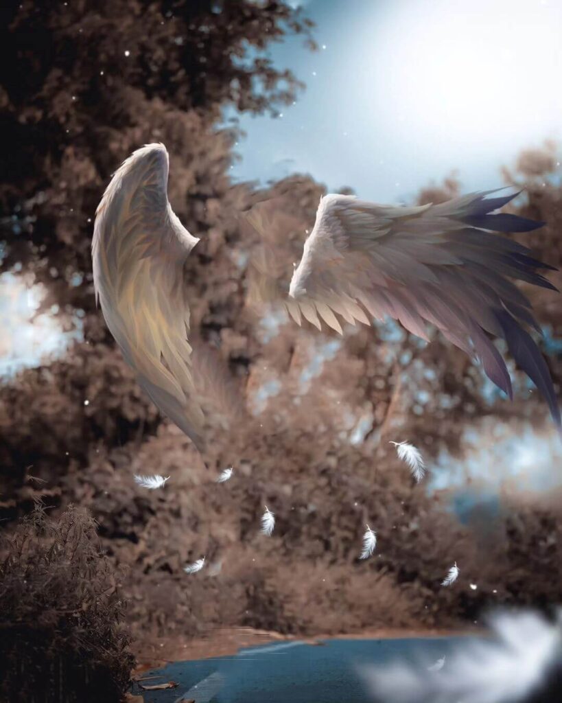 cb wing background full hd 1080p 22 cb wing background full hd 1080p
