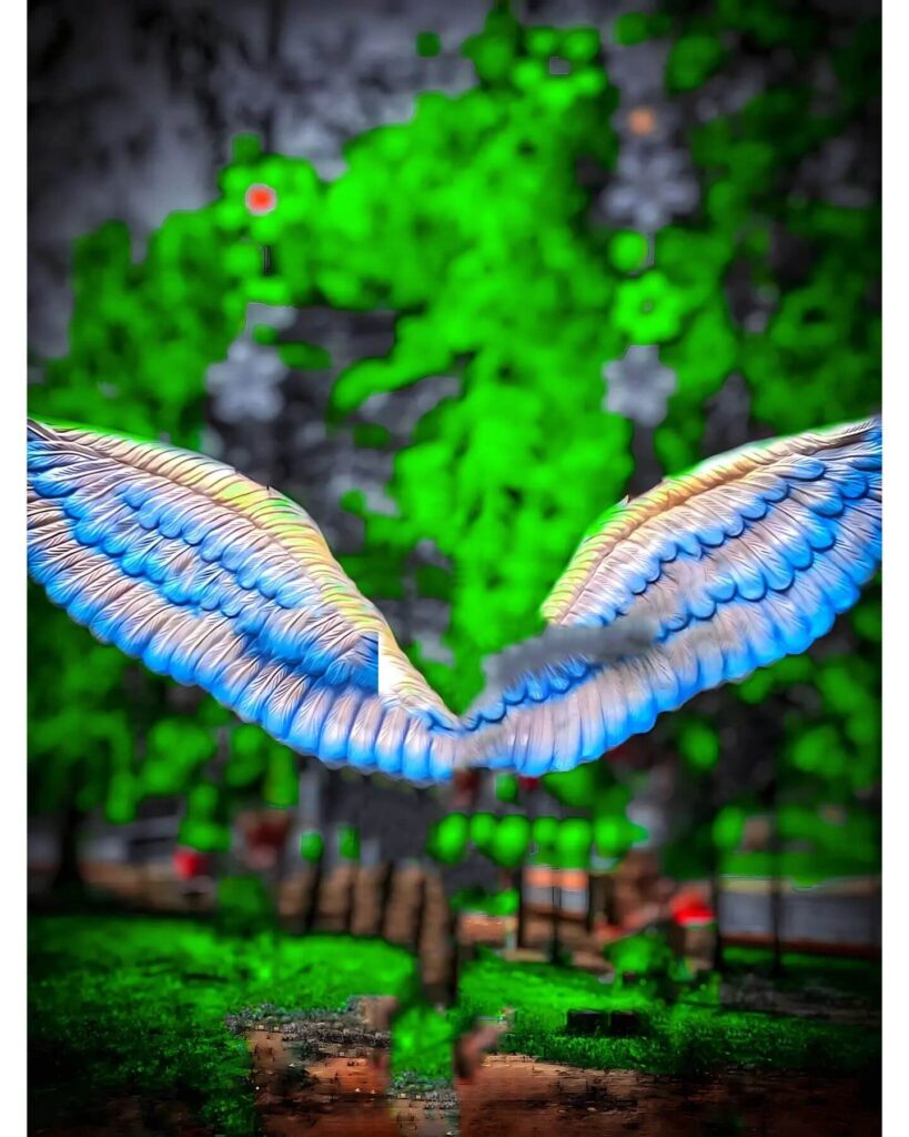 100+ top CB background hd download free 2024 11 colorfull wing cb background hd