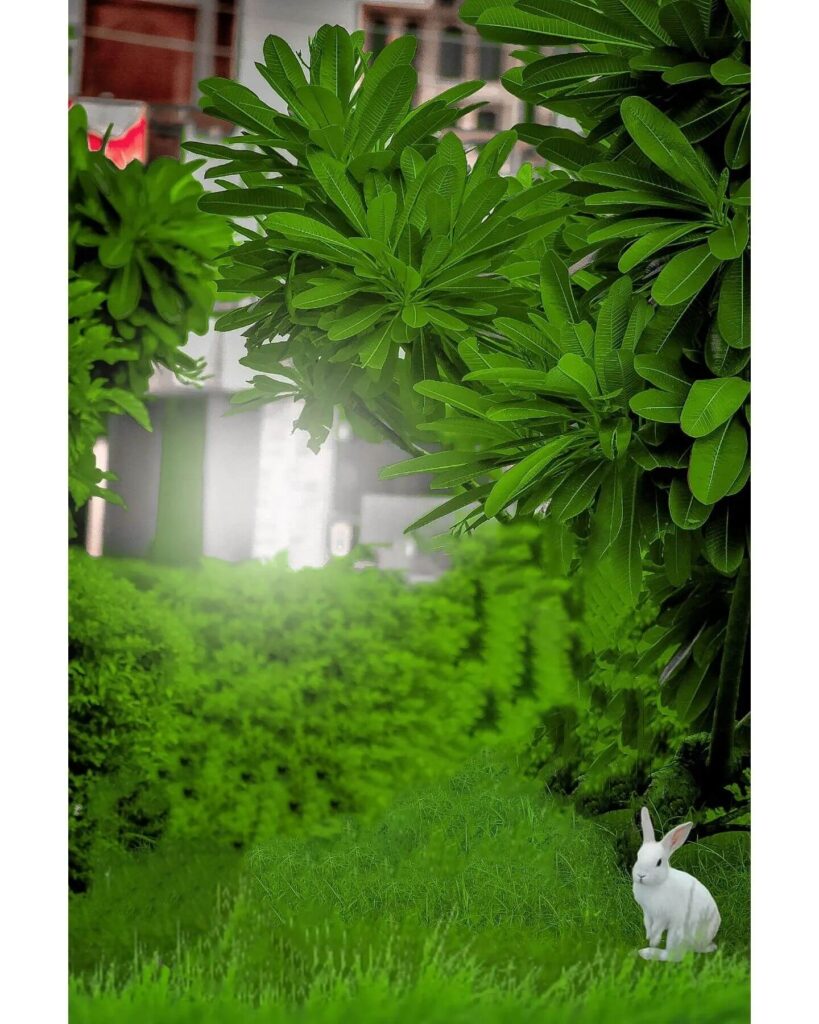 20+ best photo editing background full hd download 13 photo editing background images