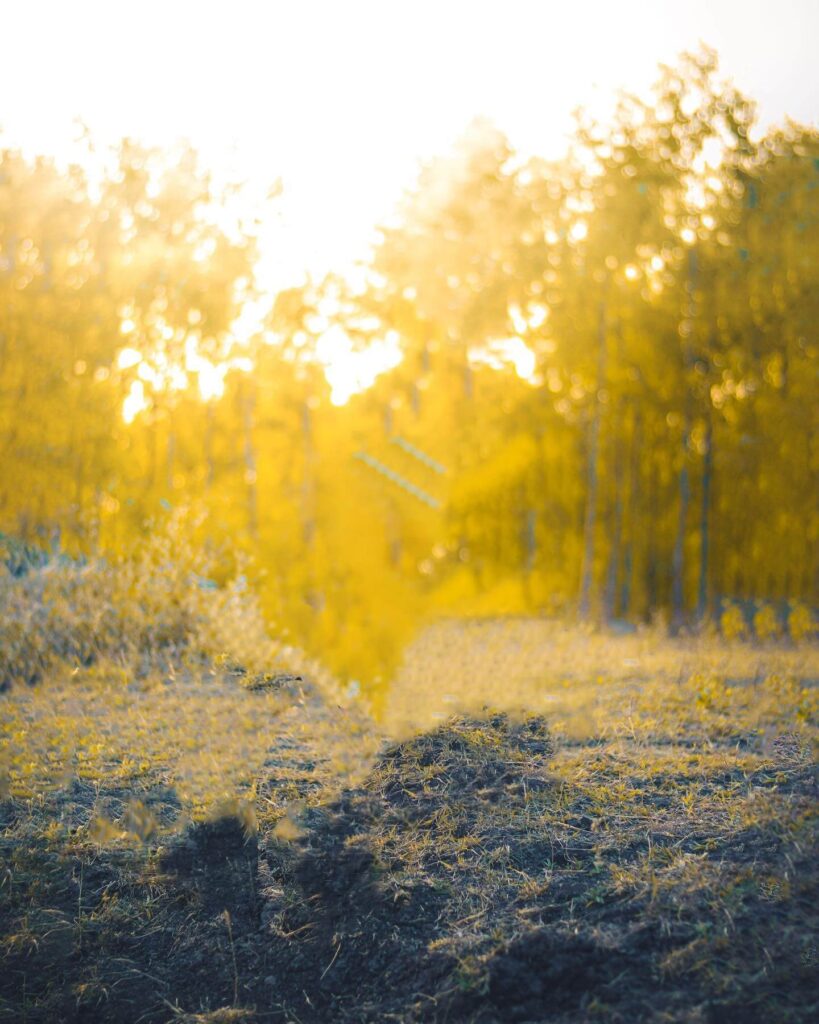 20+ best editing picsart background download hd 1 4k hd background