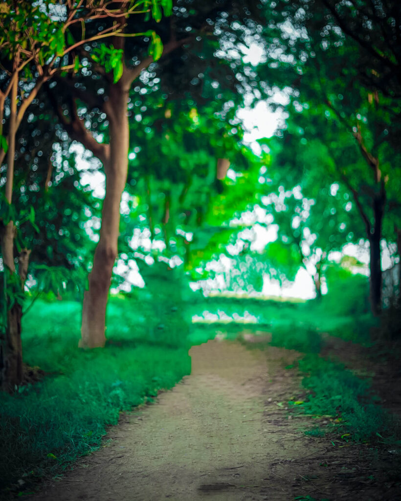 background photo download 4k