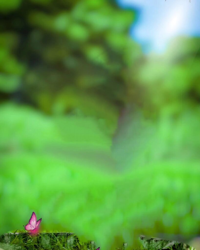 nature blur photo editing background