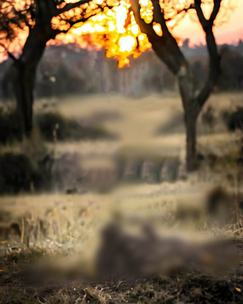 beautiful photo background hd