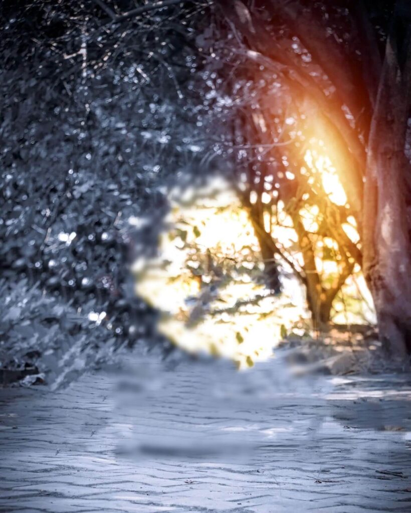 cb photo background download