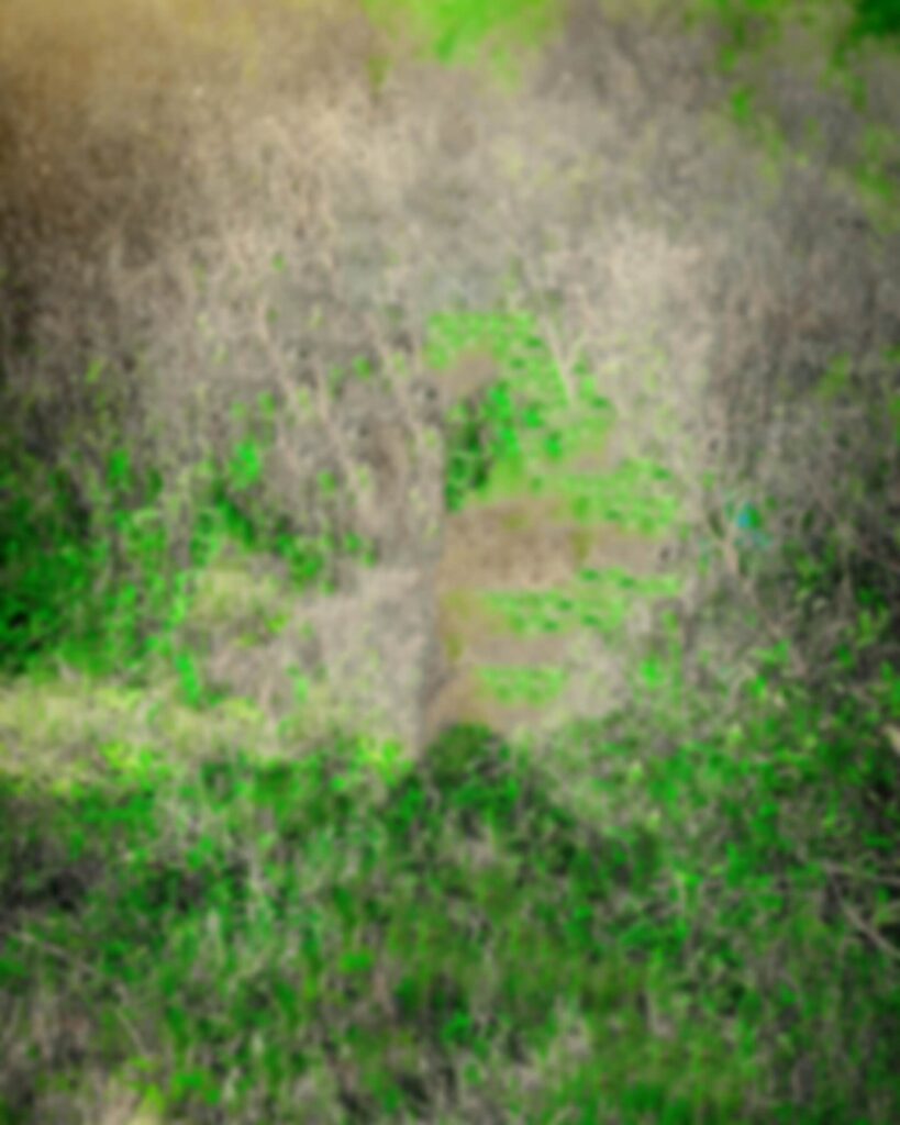 cb photo background hd