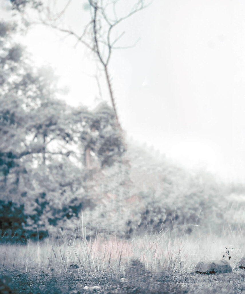 new edit photo background