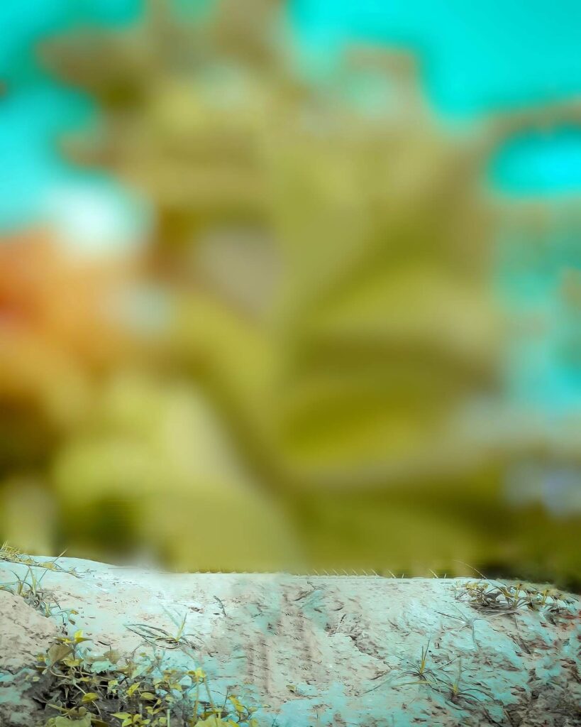 photo background hd quality