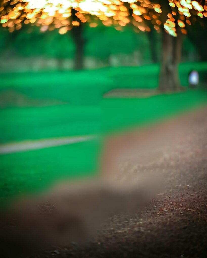 photoshop editing photo background