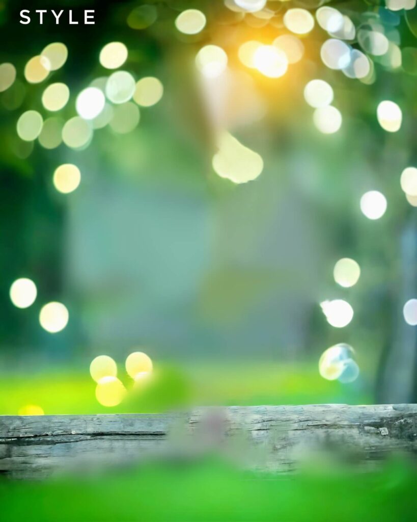 snapseed editing photo background