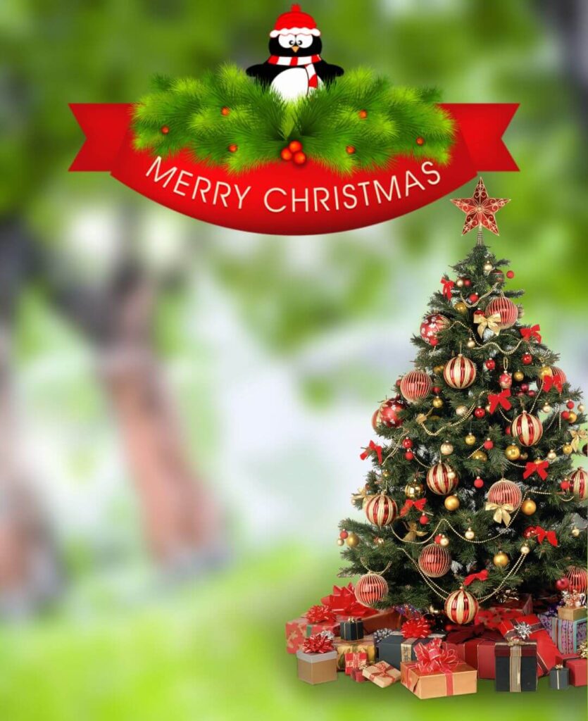 Christmas Day Background For Cb editing