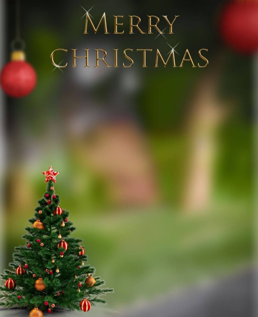 Christmas Day Tree CB Background Free