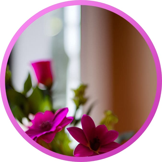 310+ natural attractive whatsapp dp, Nature Dp 2024 4 Best Most Beautiful Nature Dpz