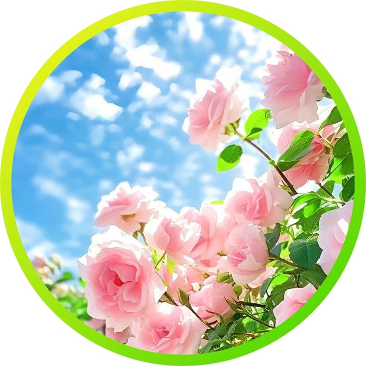 310+ natural attractive whatsapp dp, Nature Dp 2024 7 Best Nature Dp