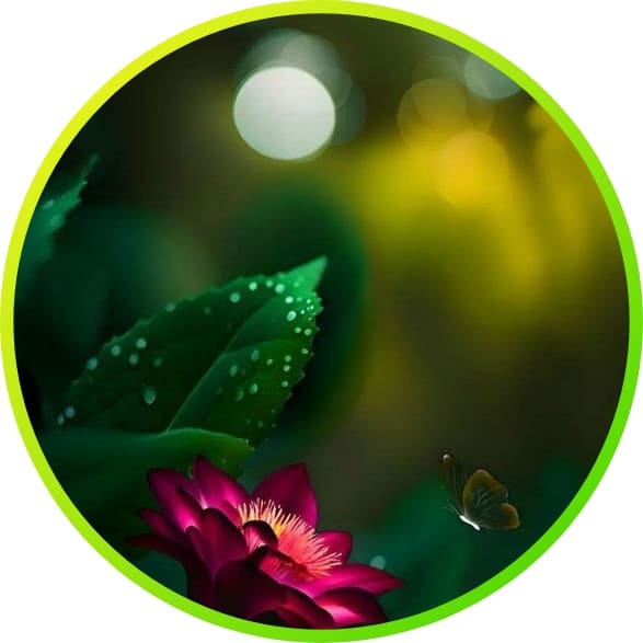 310+ natural attractive whatsapp dp, Nature Dp 2024 14 Eye-catching Nature DP Images