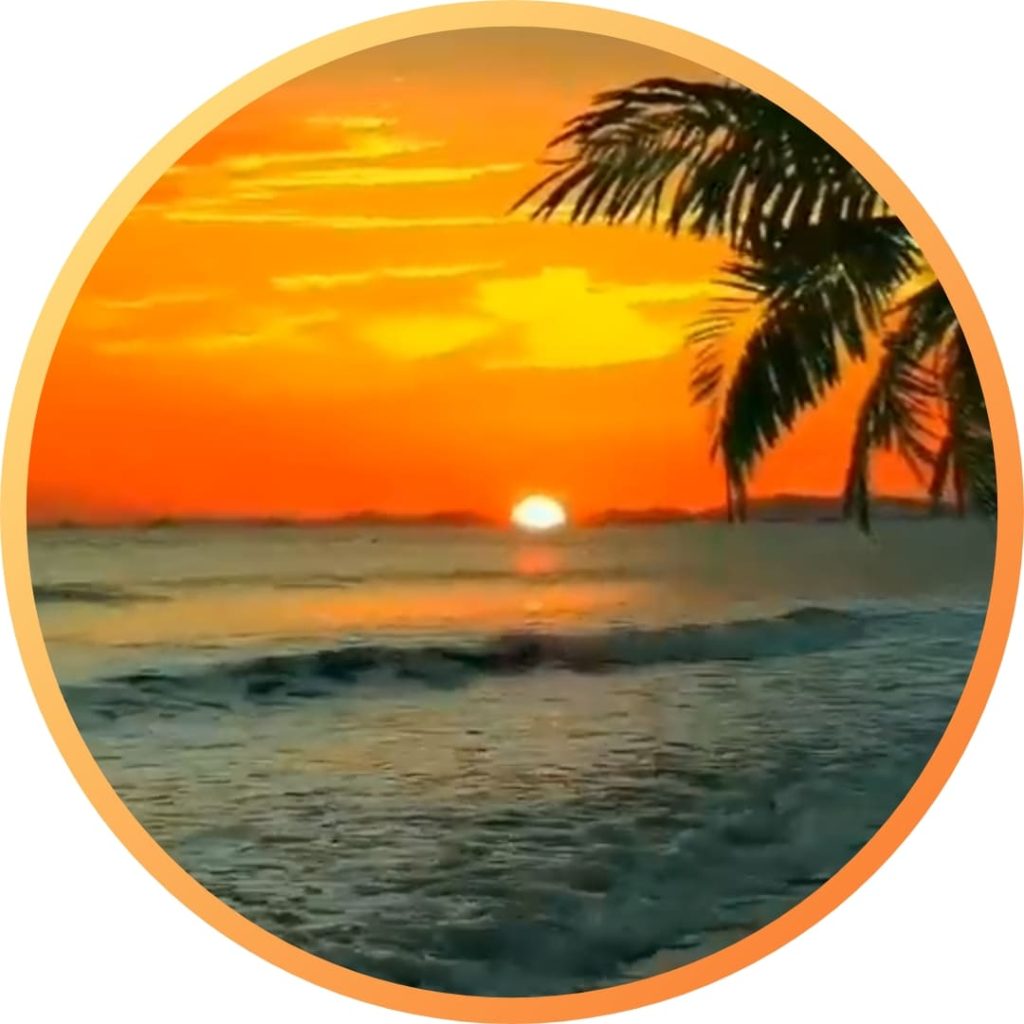 310+ natural attractive whatsapp dp, Nature Dp 2024 12 Eye catching Nature DP Images