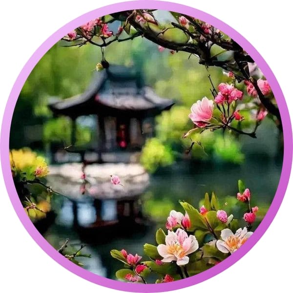 310+ natural attractive whatsapp dp, Nature Dp 2024 17 Natural Attractive WhatsApp DP