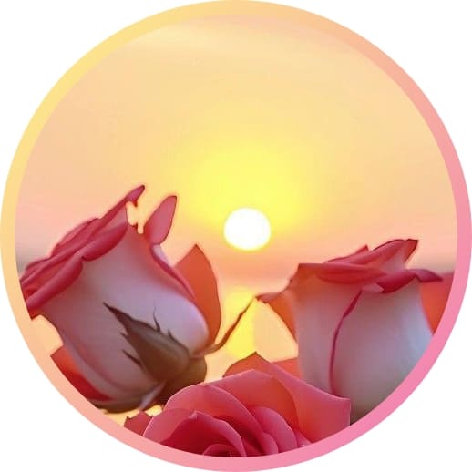 310+ natural attractive whatsapp dp, Nature Dp 2024 16 Natural Attractive Whatsapp DP Images HD
