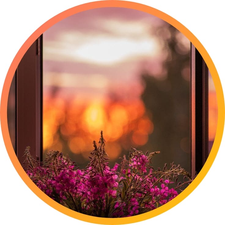 310+ natural attractive whatsapp dp, Nature Dp 2024 22 Nature DP for Whatsapp & Instagram