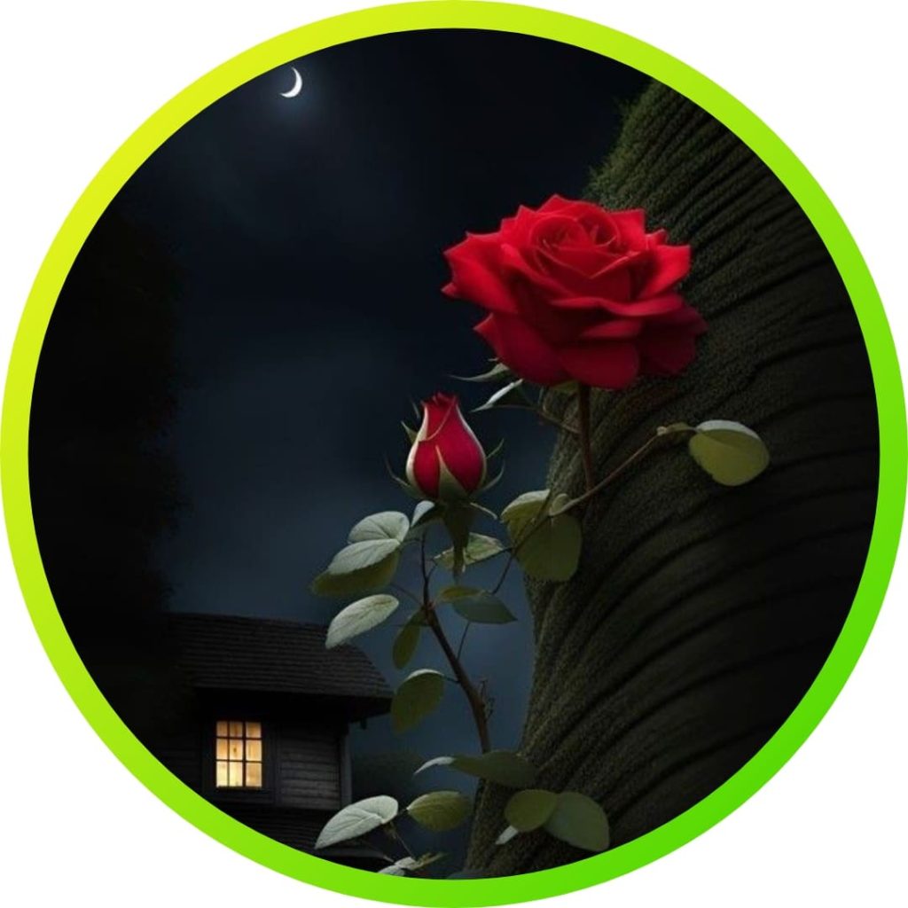 310+ natural attractive whatsapp dp, Nature Dp 2024 32 Nature For Whatsapp Dp