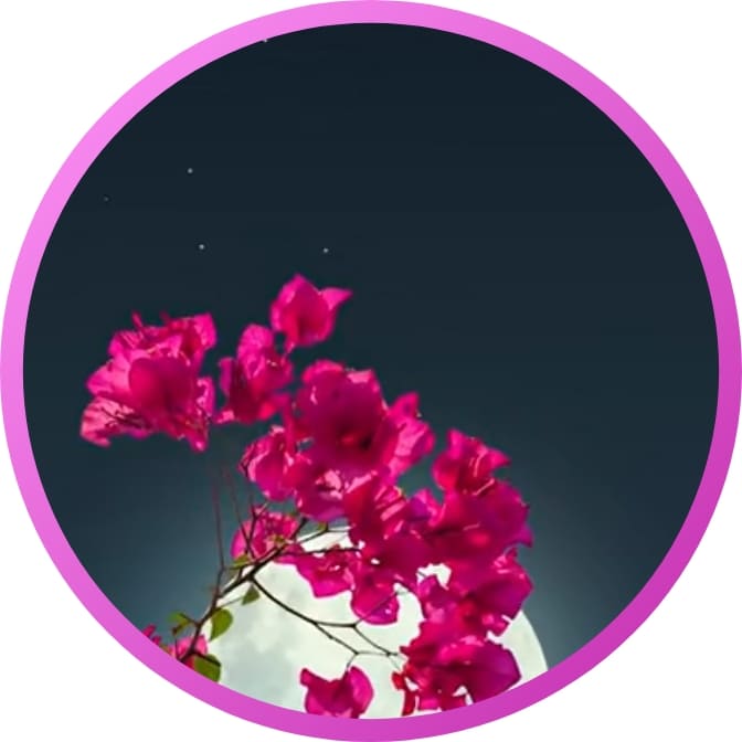 310+ natural attractive whatsapp dp, Nature Dp 2024 31 Nature For Whatsapp Dp Wallpaper