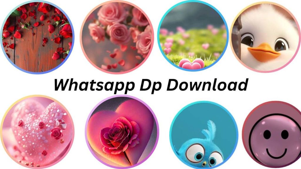 Whatsapp Dp