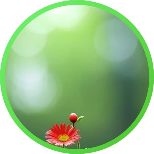 310+ natural attractive whatsapp dp, Nature Dp 2024 40 nature Whatsapp Dp Images