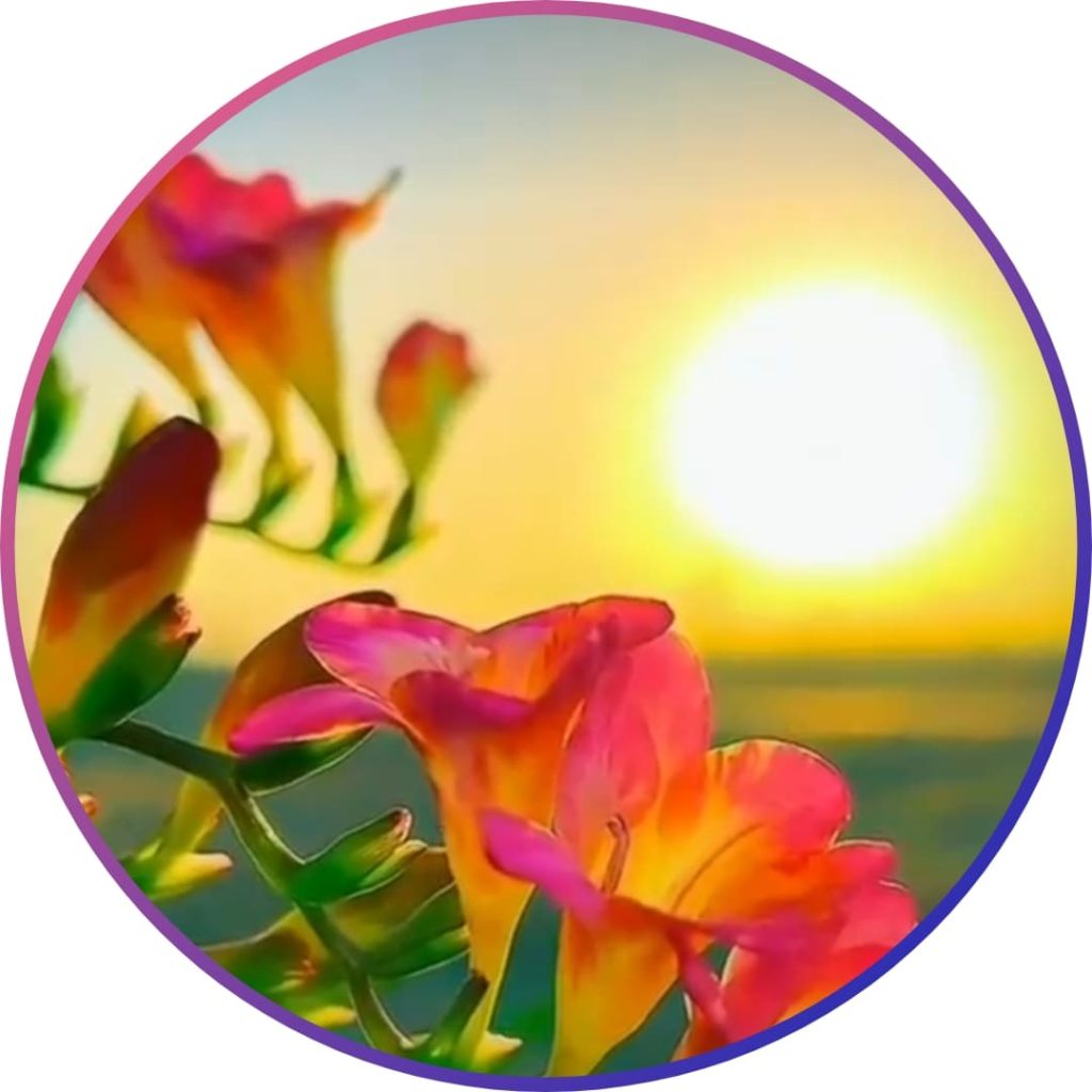 222+ nice whatsapp dp, pics & photos stylish 2024 7 nice cute whatsapp dp