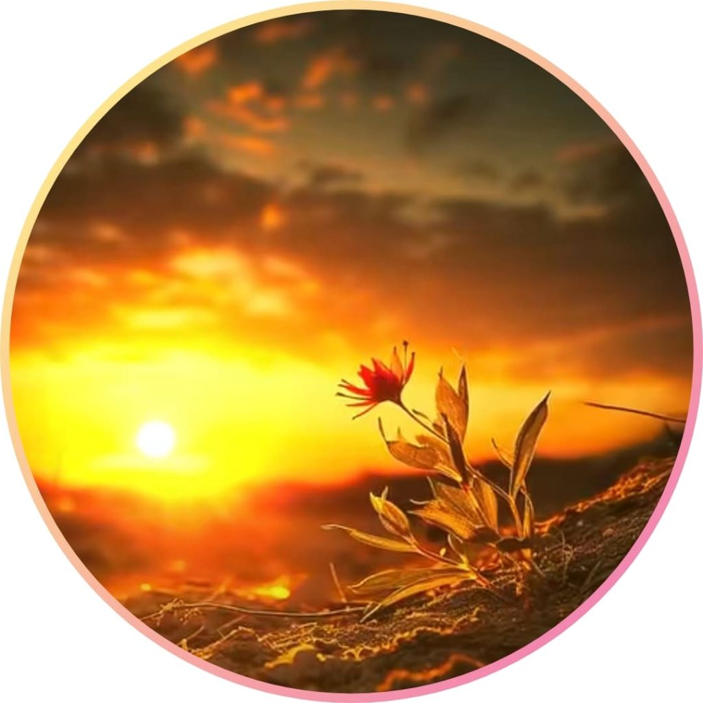 222+ nice whatsapp dp, pics & photos stylish 2024 16 nice photos for whatsapp dp