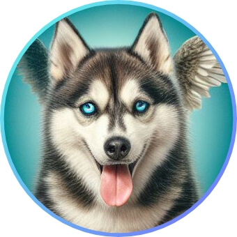 cool dp images for whatsapp