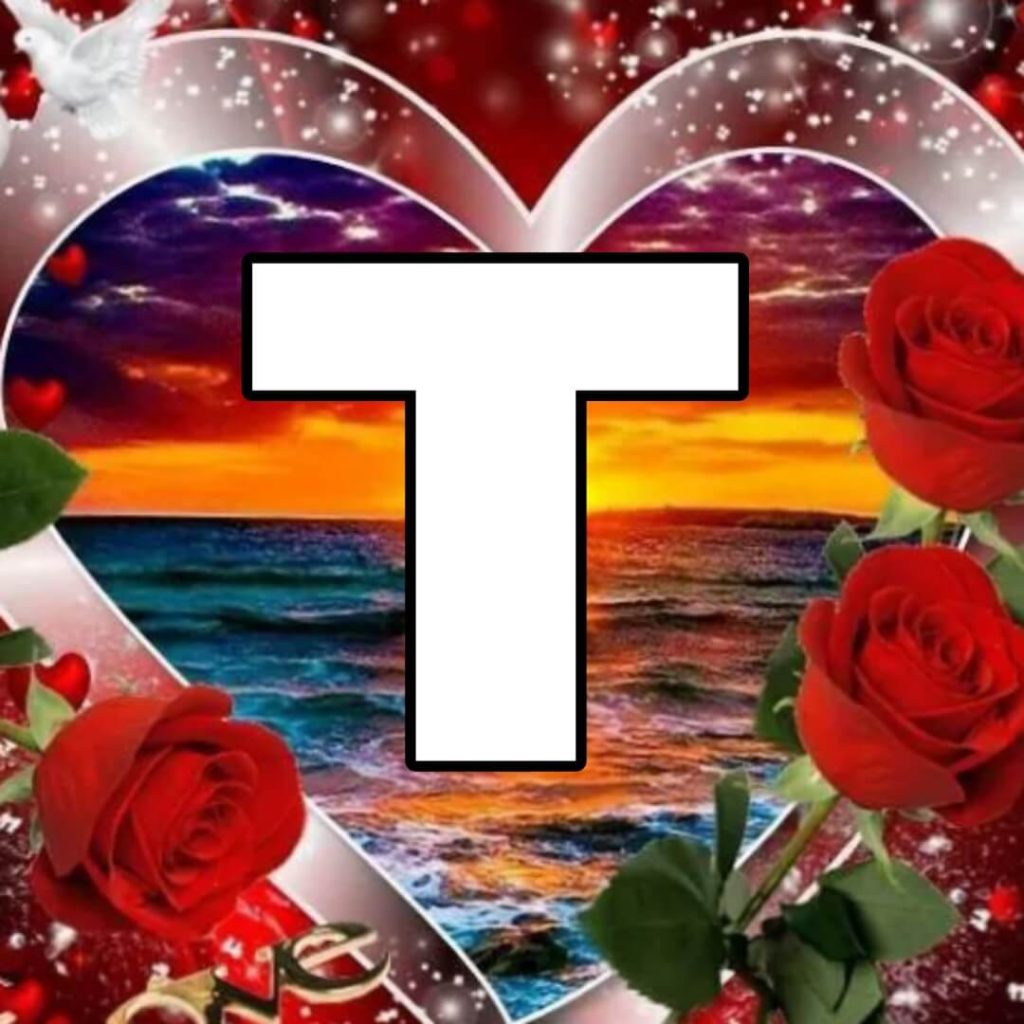 t name dp new pic, images for instagram & whatsapp 2024 20 t name dp image download