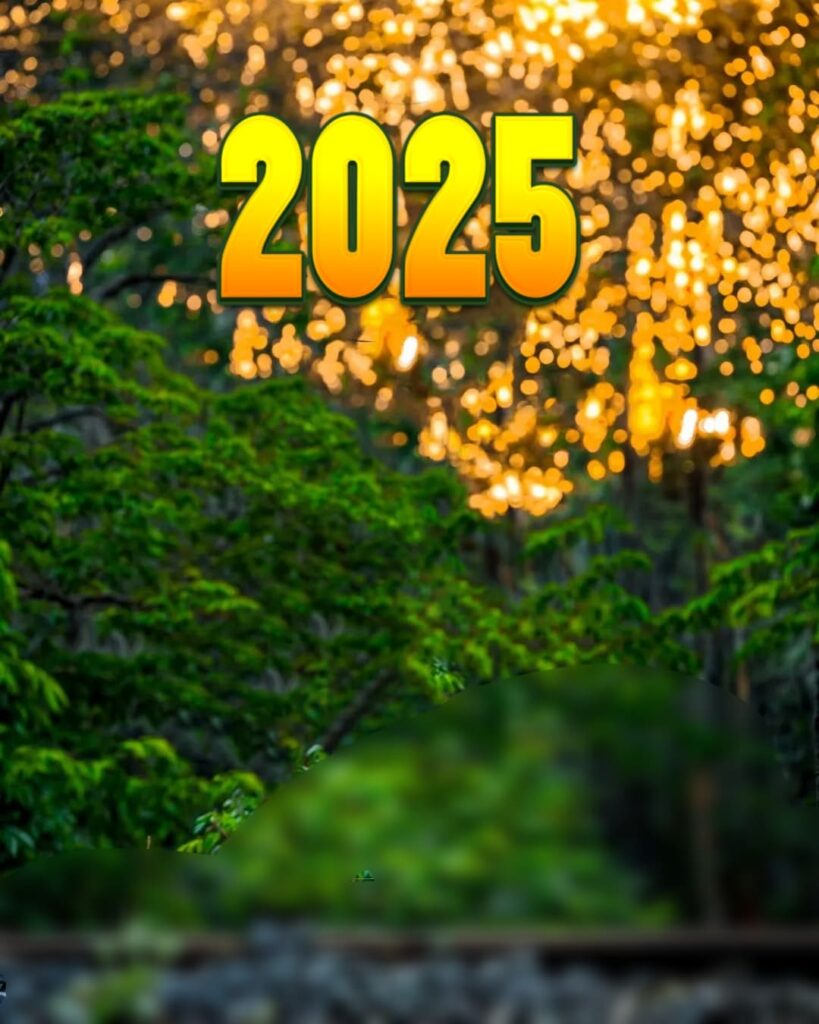 Happy new year background hd 4k 2025 free download 8 Happy New year 2025 Photo
