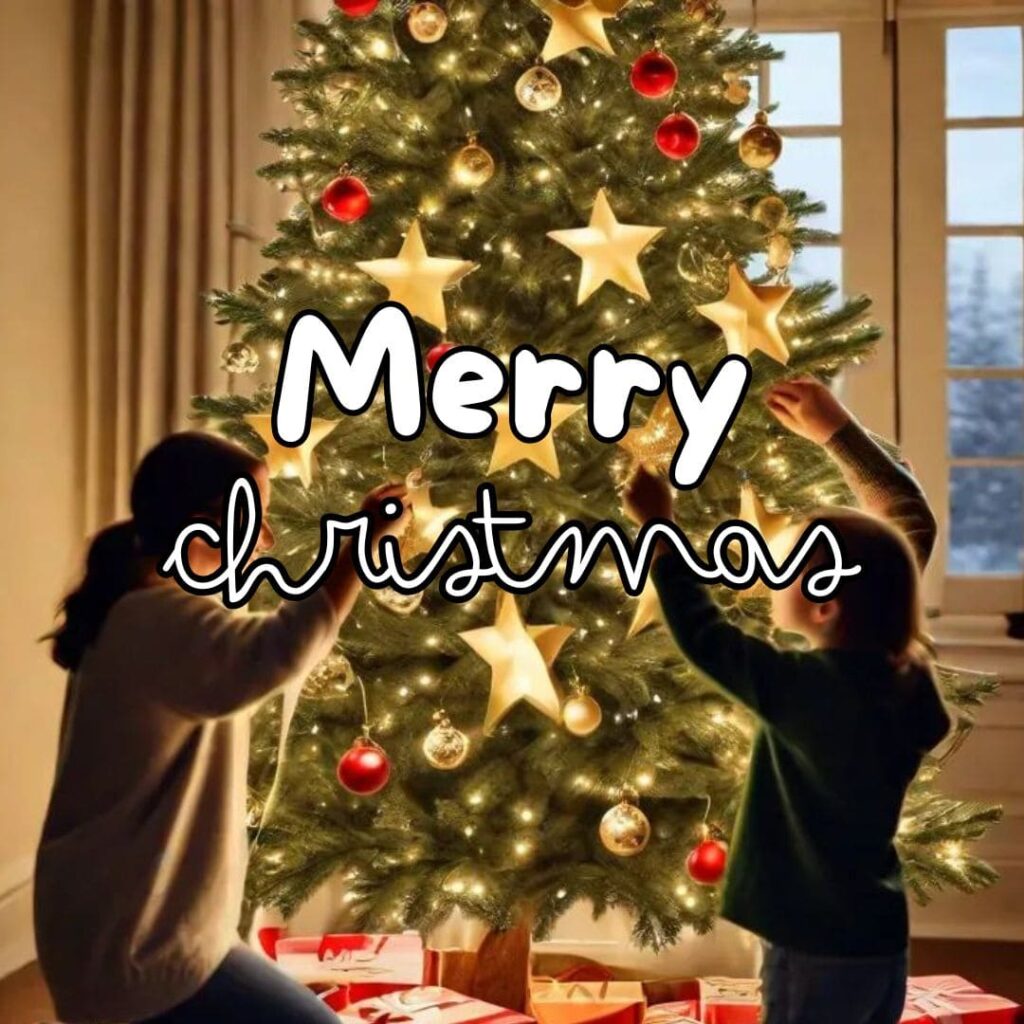 Happy merry christmas background 2025 free download 14 Merry christmas background 2025 download png