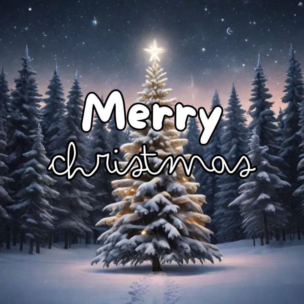 Happy merry christmas background 2025 free download 13 Merry christmas background 2025 download png free