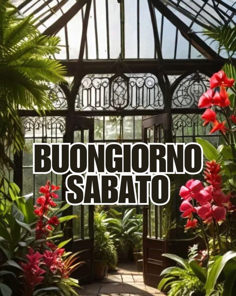 100+ buongiorno sabato immagini nuove gratis 2025 6 Buon sabato immagini nuove