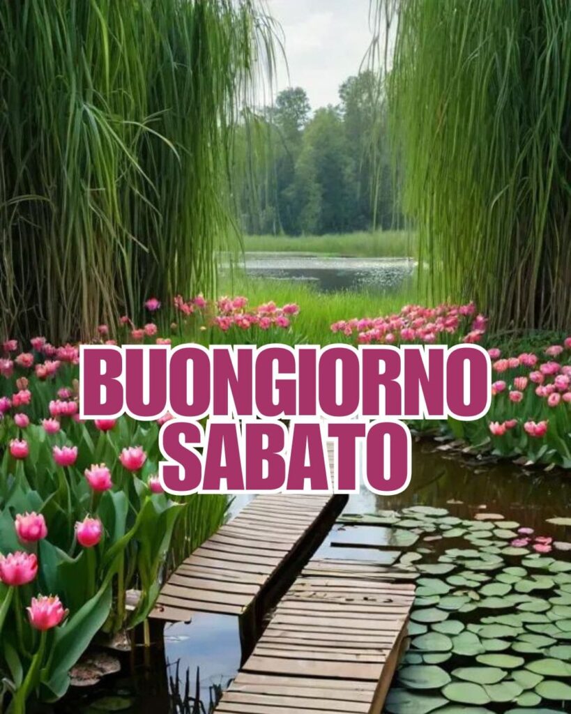 100+ buongiorno sabato immagini nuove gratis 2025 12 Buongiorno immagini buon sabato 2025