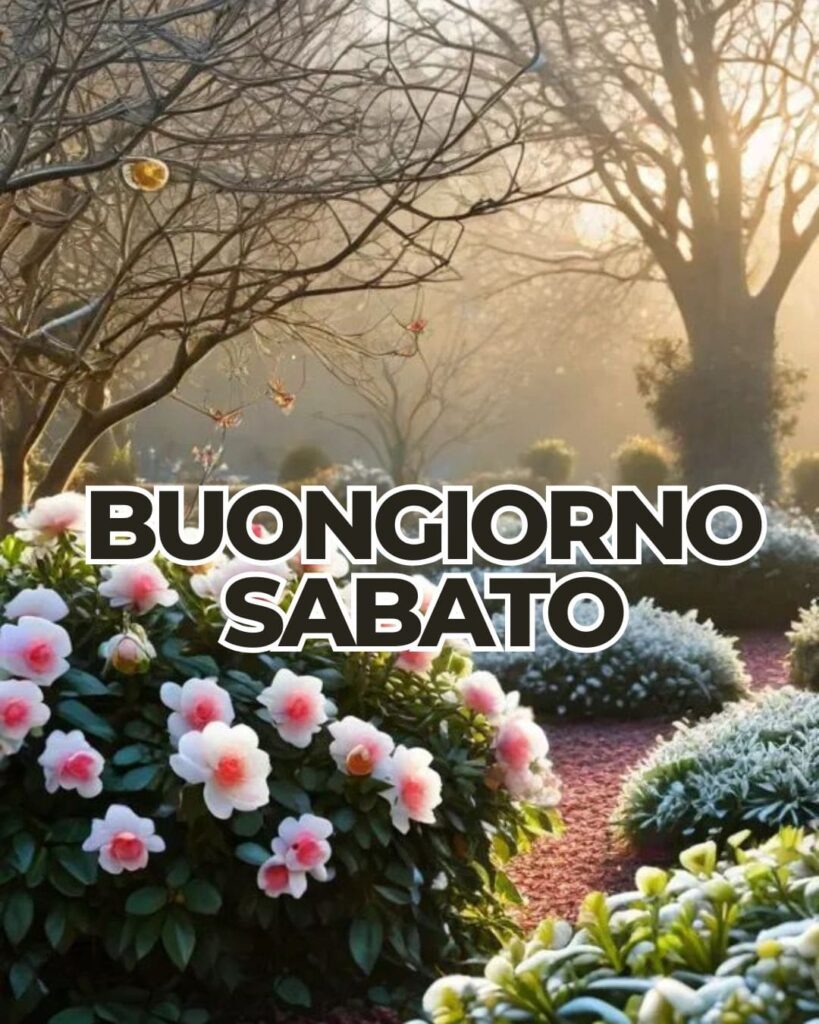 100+ buongiorno sabato immagini nuove gratis 2025 15 Buongiorno immagini buon sabato