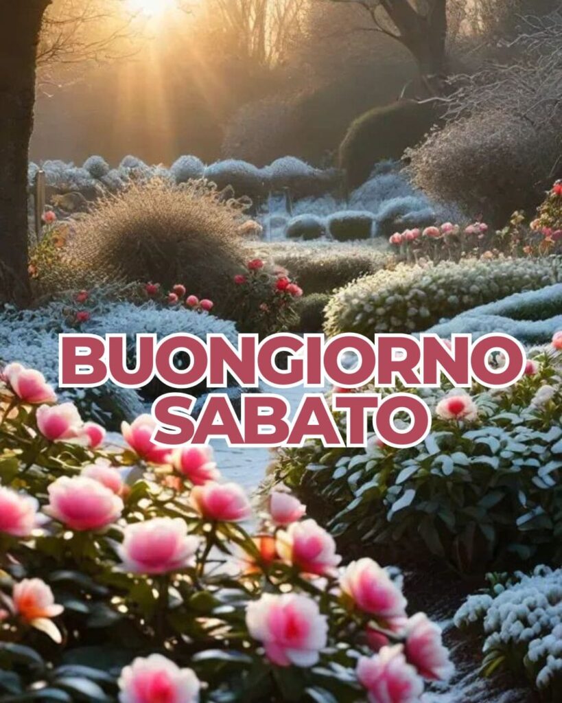 100+ buongiorno sabato immagini nuove gratis 2025 29 Immagini com br buon sabato Felice fine di settimana pinterest 2025
