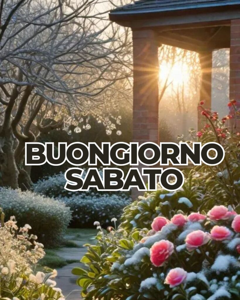 100+ buongiorno sabato immagini nuove gratis 2025 30 Immagini com br buon sabato Felice fine di settimana pinterest
