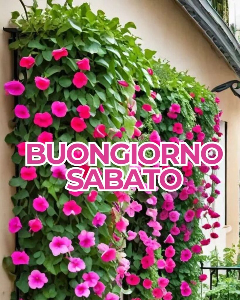 100+ buongiorno sabato immagini nuove gratis 2025 19 buongiorno sabato immagini divertenti