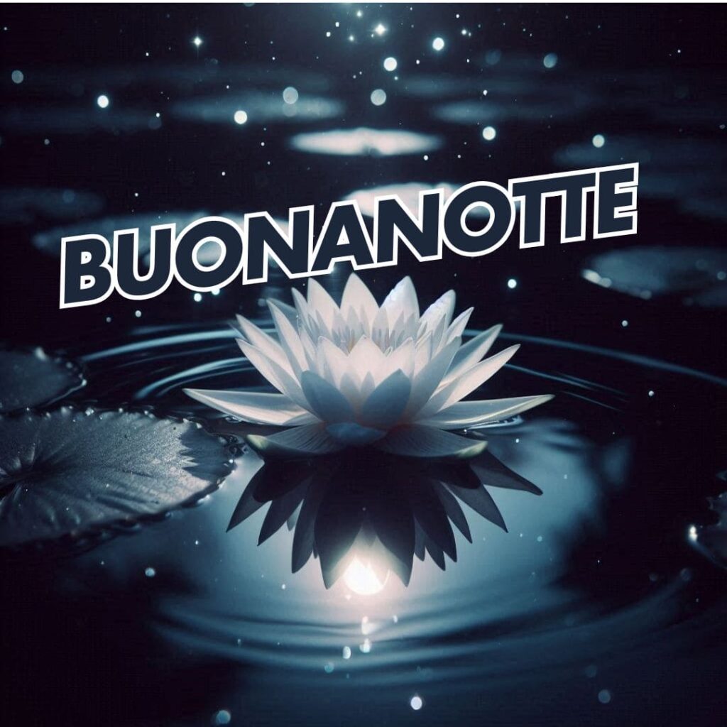 le fate del sole buonanotte immagini nuove gratis per whatsapp natalizie 2025